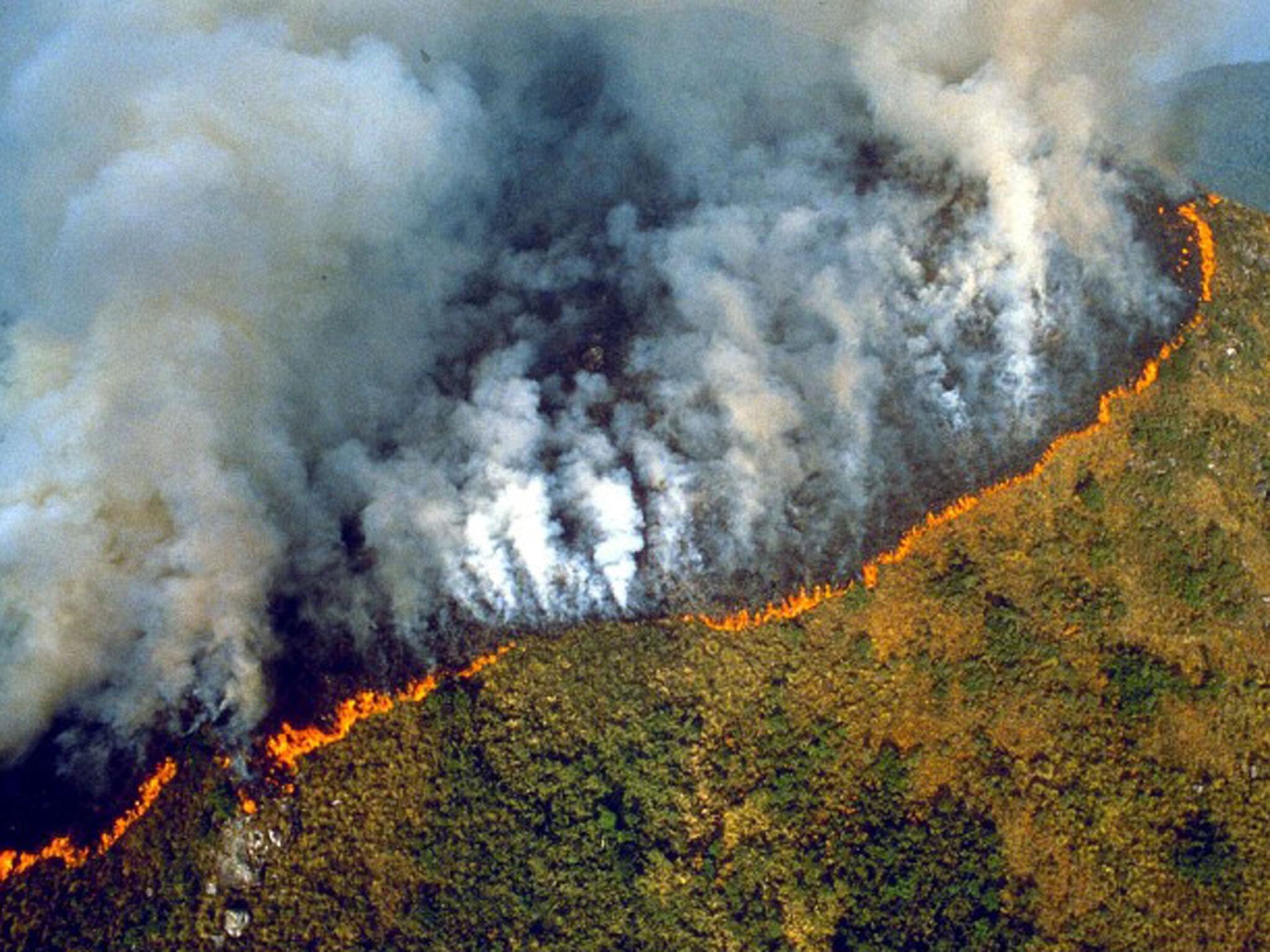 Amazon Rainforest Fires